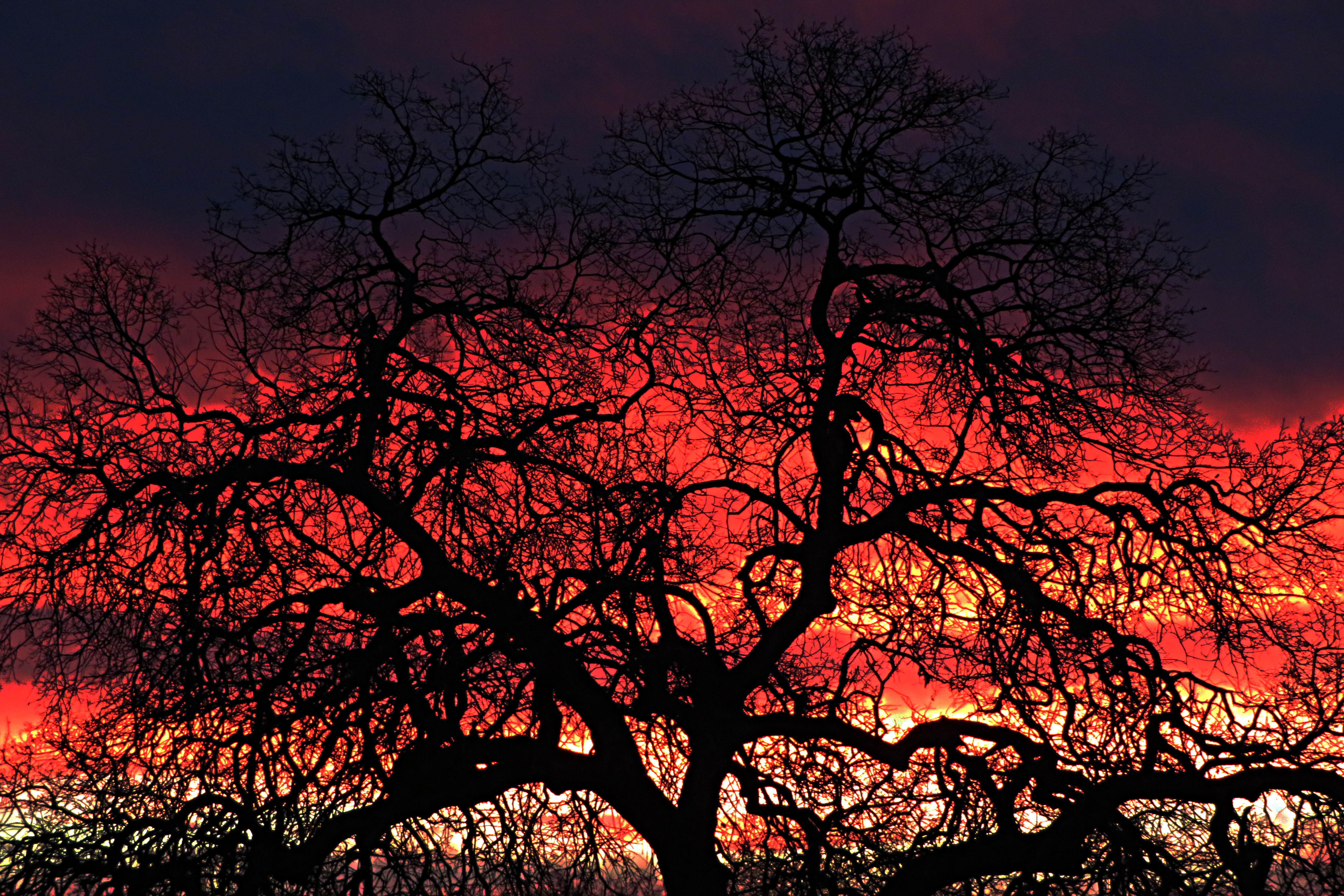 Sunrise In Redding Ca